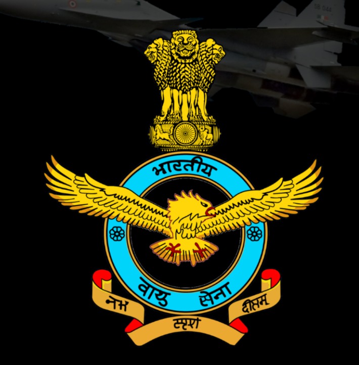 Indian Air Force logo